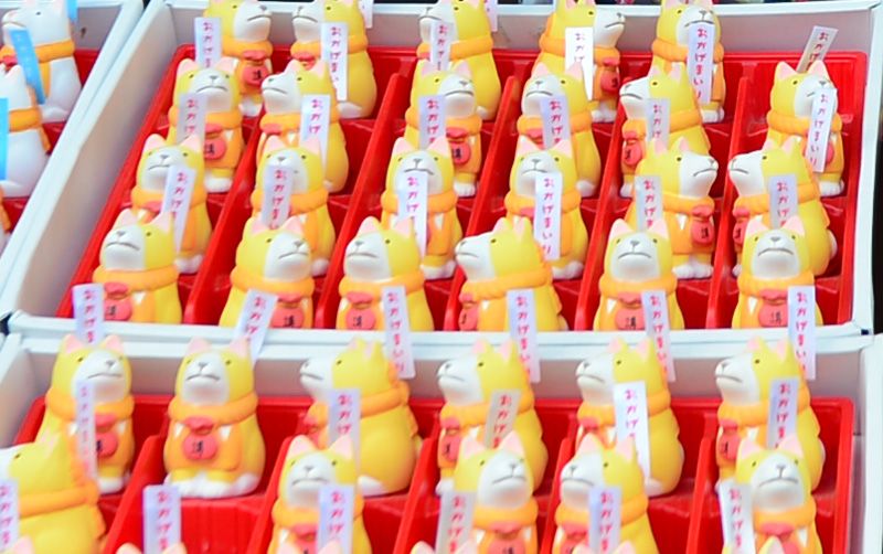 quẻ bói hình chú chó Okage-inu